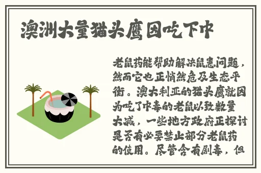 yw1139.龙物视跳转界面